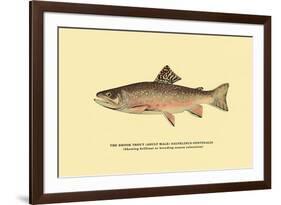 The Brook Trout, Showing Brilliant or Breeding Season Coloration-H.h. Leonard-Framed Art Print