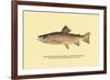 The Brook Trout, Showing Brilliant or Breeding Season Coloration-H.h. Leonard-Framed Art Print