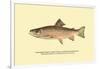 The Brook Trout, Showing Brilliant or Breeding Season Coloration-H.h. Leonard-Framed Art Print