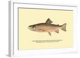 The Brook Trout, Showing Brilliant or Breeding Season Coloration-H.h. Leonard-Framed Art Print