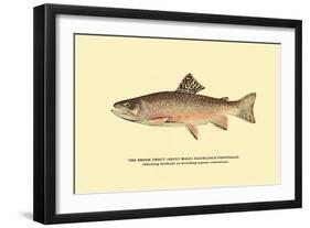 The Brook Trout, Showing Brilliant or Breeding Season Coloration-H.h. Leonard-Framed Art Print