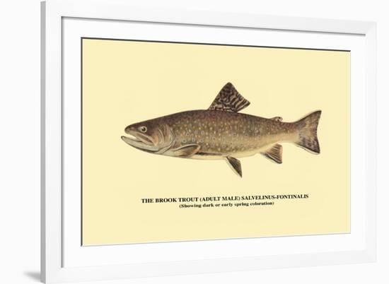 The Brook Trout, Showing Dark or Early Spring Coloration-H.h. Leonard-Framed Premium Giclee Print