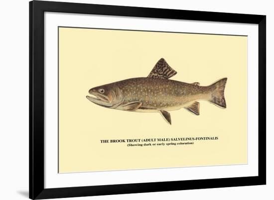 The Brook Trout, Showing Dark or Early Spring Coloration-H.h. Leonard-Framed Premium Giclee Print