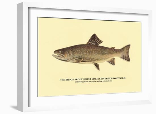 The Brook Trout, Showing Dark or Early Spring Coloration-H.h. Leonard-Framed Art Print