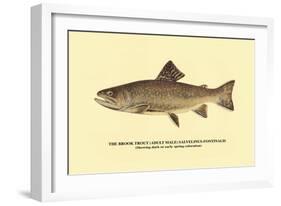 The Brook Trout, Showing Dark or Early Spring Coloration-H.h. Leonard-Framed Art Print