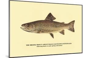 The Brook Trout, Showing Dark or Early Spring Coloration-H.h. Leonard-Mounted Art Print