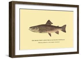 The Brook Trout, Showing Subdued or Early Summer Coloration-H.h. Leonard-Framed Art Print