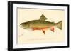 The Brook Trout-null-Framed Giclee Print