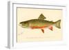 The Brook Trout-null-Framed Giclee Print