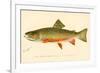 The Brook Trout-null-Framed Giclee Print