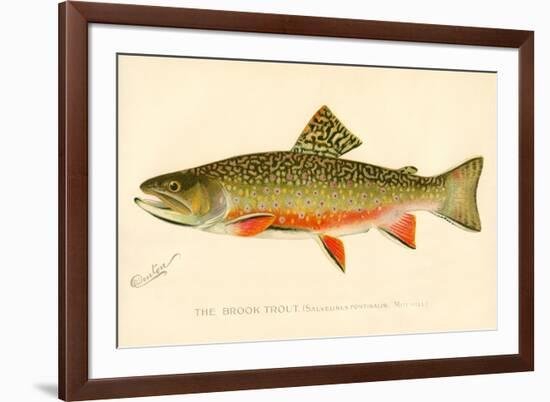 The Brook Trout-null-Framed Giclee Print