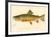 The Brook Trout-null-Framed Giclee Print