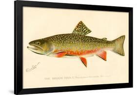 The Brook Trout-null-Framed Giclee Print