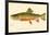The Brook Trout-null-Framed Giclee Print