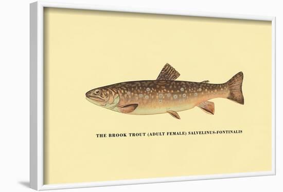 The Brook Trout-H.h. Leonard-Framed Art Print