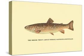 The Brook Trout-H.h. Leonard-Stretched Canvas