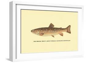 The Brook Trout-H.h. Leonard-Framed Art Print