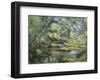 The Brook-Paul Cezanne-Framed Art Print