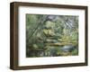 The Brook-Paul Cezanne-Framed Art Print