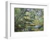 The Brook-Paul Cezanne-Framed Art Print