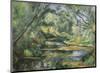 The Brook-Paul Cezanne-Mounted Art Print