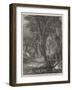 The Brook-null-Framed Giclee Print