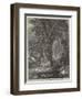 The Brook-null-Framed Giclee Print