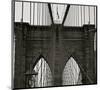 The Brooklyn Bridge-null-Mounted Art Print