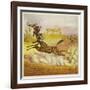 The Brothers Bold Escape the Gorillas by Riding a Giraffe-Ernest Henry Griset-Framed Giclee Print