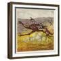 The Brothers Bold Escape the Gorillas by Riding an Ostrich-Ernest Henry Griset-Framed Giclee Print