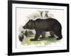 The Brown Bear, Educational Illustration Published by the Society for Promoting Christian Knowledge-Josiah Wood Whymper-Framed Premium Giclee Print