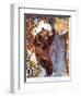 The Brown Bear (Ursus Arctos), Climbing after Honey, Illustration from 'The New Natural History',…-Warwick Reynolds-Framed Giclee Print