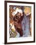 The Brown Bear (Ursus Arctos), Climbing after Honey, Illustration from 'The New Natural History',…-Warwick Reynolds-Framed Giclee Print