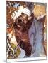 The Brown Bear (Ursus Arctos), Climbing after Honey, Illustration from 'The New Natural History',…-Warwick Reynolds-Mounted Giclee Print