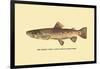 The Brown Trout-H.h. Leonard-Framed Art Print