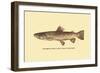 The Brown Trout-H.h. Leonard-Framed Art Print