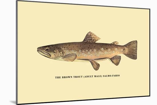 The Brown Trout-H.h. Leonard-Mounted Art Print