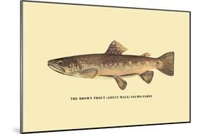 The Brown Trout-H.h. Leonard-Mounted Art Print