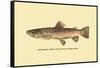 The Brown Trout-H.h. Leonard-Framed Stretched Canvas