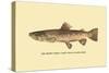 The Brown Trout-H.h. Leonard-Stretched Canvas