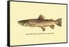 The Brown Trout-H.h. Leonard-Framed Stretched Canvas