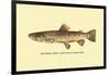 The Brown Trout-H.h. Leonard-Framed Art Print