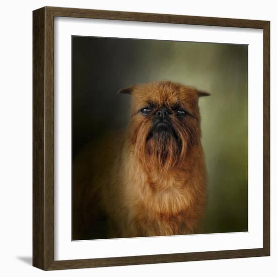 The Brussels Griffon-Jai Johnson-Framed Giclee Print