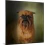 The Brussels Griffon-Jai Johnson-Mounted Giclee Print