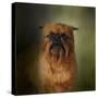 The Brussels Griffon-Jai Johnson-Stretched Canvas