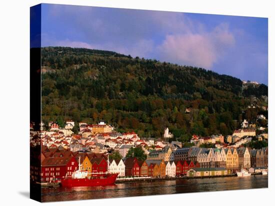 The Bryggen, a Huddle of Wooden Buildings on the Waterfront, Bergen,Hordaland, Norway-Anders Blomqvist-Stretched Canvas