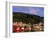 The Bryggen, a Huddle of Wooden Buildings on the Waterfront, Bergen,Hordaland, Norway-Anders Blomqvist-Framed Premium Photographic Print