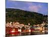 The Bryggen, a Huddle of Wooden Buildings on the Waterfront, Bergen,Hordaland, Norway-Anders Blomqvist-Mounted Photographic Print