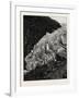 The Buarbae Glacier-null-Framed Giclee Print