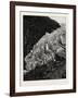 The Buarbae Glacier-null-Framed Giclee Print